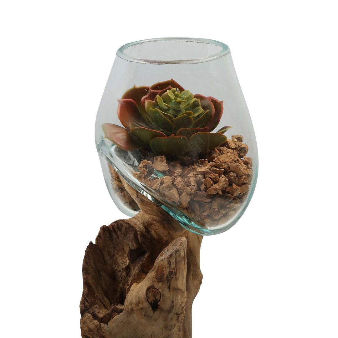 Kaksoislasimaljakko 12 cm juuripuulla